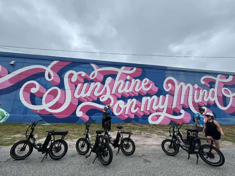 St. Petersburg, FL: Sightseeing & Murals Electric Bike Tour - Who should book this St. Petersburg e-bike murals tour