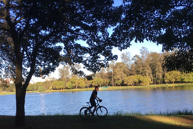 Street Art and Park Bike Tour - MAAU Open Museum and Carandiru Ruins: Art Meets Real Memory