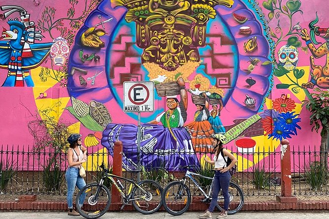 Street Art Bike Ride - Guide Styles in Oaxaca: From Social Issues to Small Hills