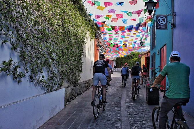Street Art Bike Ride - Value for $83.64: Why This Price Can Make Sense in Oaxaca