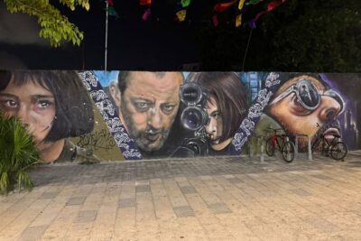 Street Art & Cemetery Cultural Tour - half day - Street art that means something, explained by real people