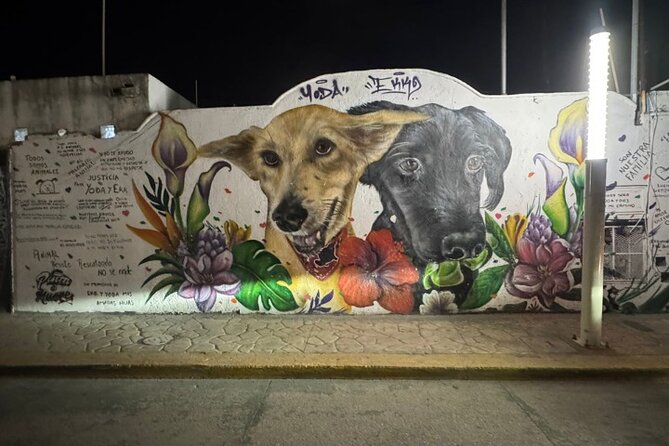 Street Art & Cemetery Cultural Tour - half day - What to expect at each moment of your walk