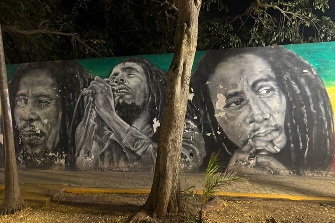 Street Art & Cemetery Cultural Tour - half day - Who this tour fits best