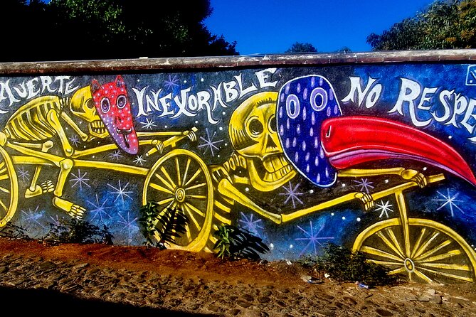 Street Art Tour With An Artist in Oaxaca - Stop 3: Barrio de Jalatlaco Murals, Symbolism, and the Artist’s Lens