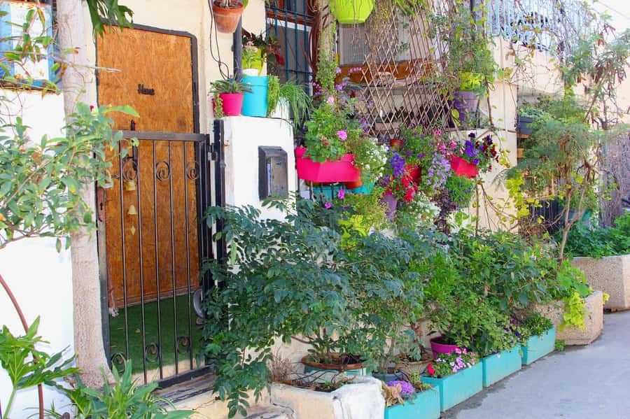 Tel Aviv: Florentin Saturday Walking Tour - Who this tour suits best