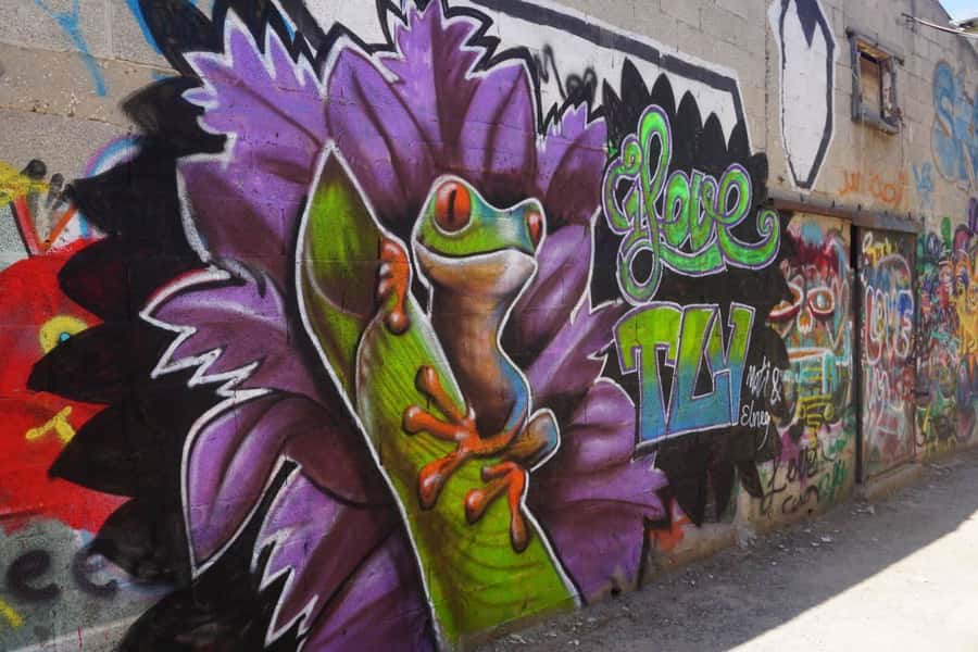 Tel Aviv: Street Art and Graffiti Tour - Key Things to Know Before You Go