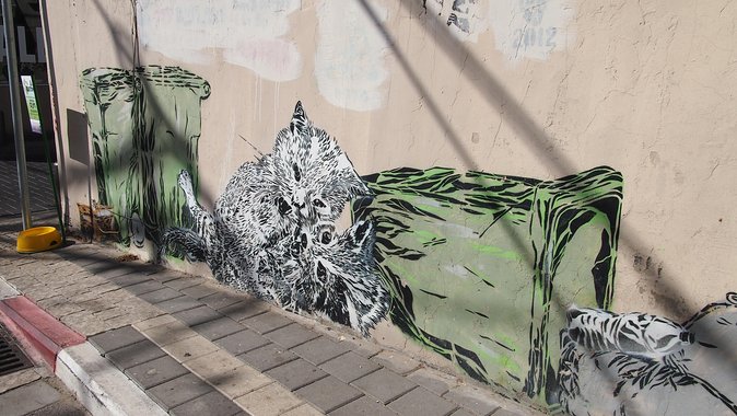 Tel Aviv Street Art Tour - Florentine stop: murals, tags, and the stories behind the walls