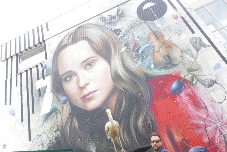 The Hague: Street Art Tour by Bike - Laakhaven: a quick photo stop that’s worth your attention