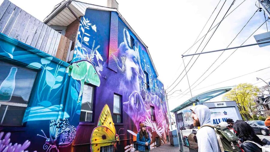 Toronto: Must Do NonTouristy Street Art Tour by local Artist - Price and value: $8 for 2 hours is a bargain if you like real local culture