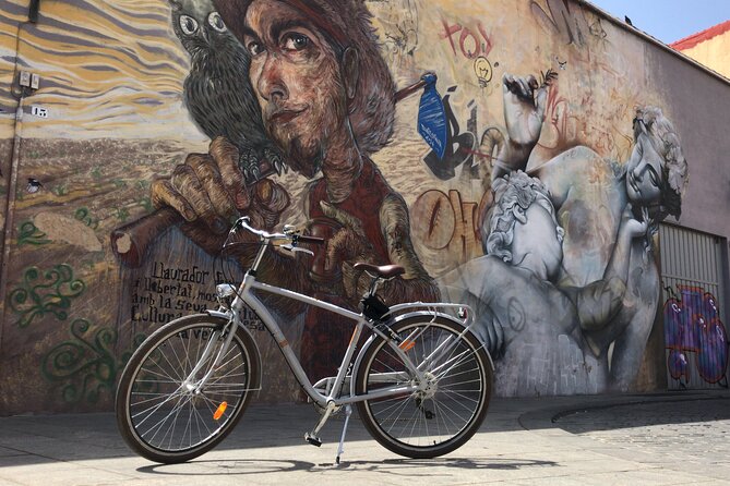 Valencia Street Art | Private Tour by Bike or Electric Ride - Why Valencia street art clicks better from a bike