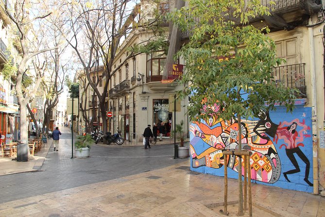 Valencia Street Art | Private Tour by Bike or Electric Ride - Private tour energy: what flexibility feels like in 2 hours