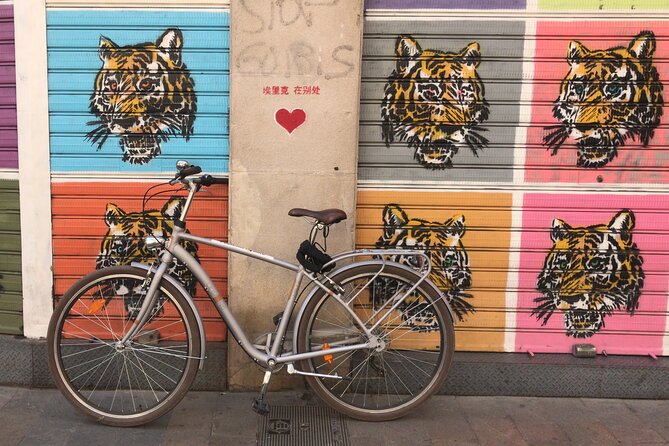 Valencia Street Art | Private Tour by Bike or Electric Ride - Price and value: is $72 for a street art bike tour worth it?