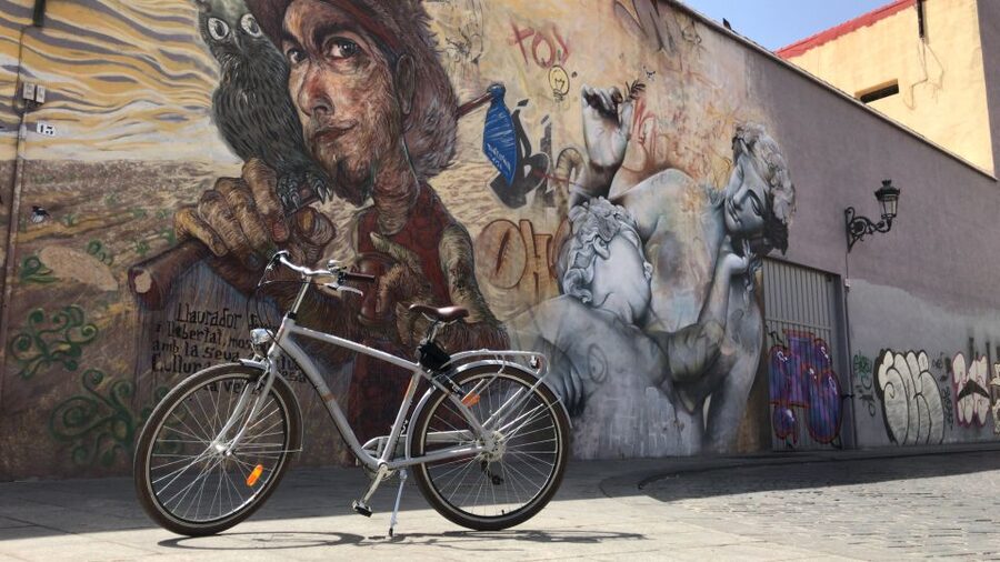 Valencia: Street Art Tour on Bicycle, E-Bike or E-Step - Great Flood of 1957: The Murals That Explain the Neighborhood