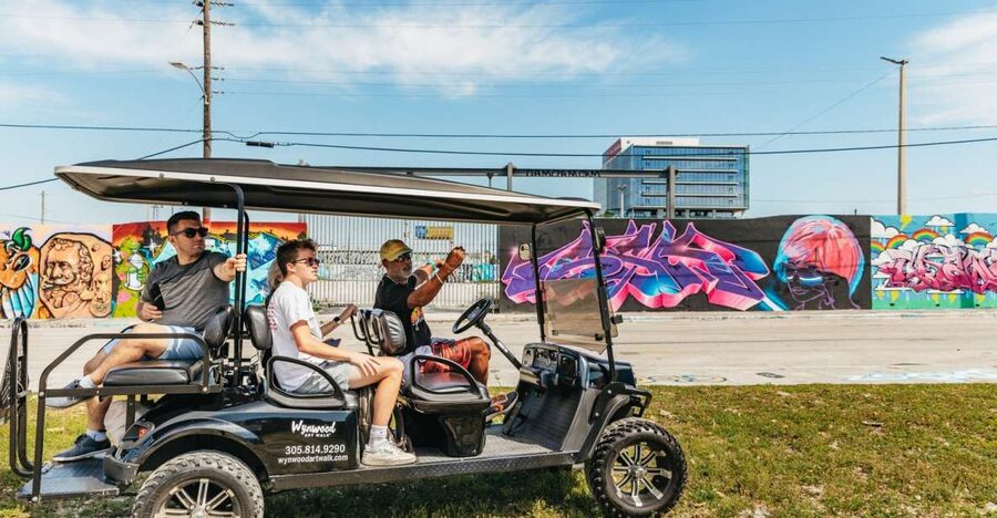 Wynwood Art District 1-Hour Street Art Tour by Golf Cart - The 1-Hour Flow: What a Typical Route Feels Like