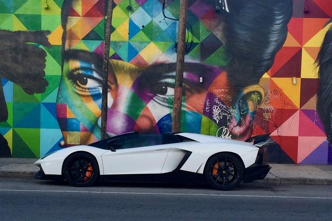 Wynwood French Guided Tour - Street Art - French guide storytelling that makes the art stick