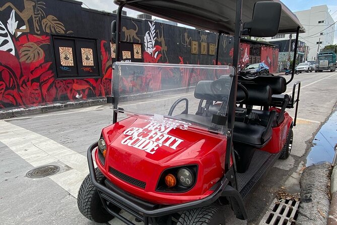 Wynwood Street Art Tour - Artist Lead -VIP Cart - Key highlights you’ll feel right away