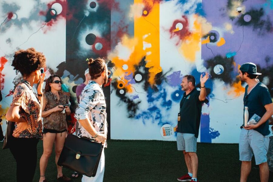 Wynwood Walls Street Art & Neighborhood Walking Tour - Wynwood Arts District streets: murals, alley energy, and a local route