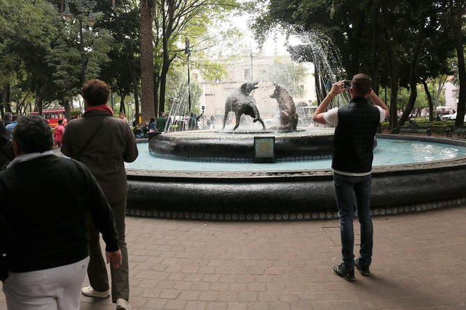 Xochimilco, Coyoacan and Frida Kahlo with Optional Lunch - Should you book this tour?