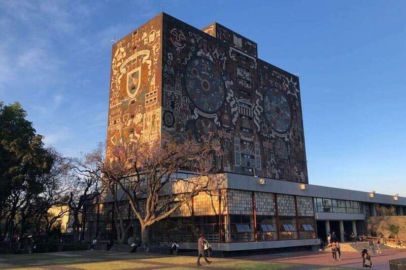Xochimilco floating gardens, Coyoacan and UNAM murals - Xochimilco’s floating gardens: how to make the trajinera feel worth it